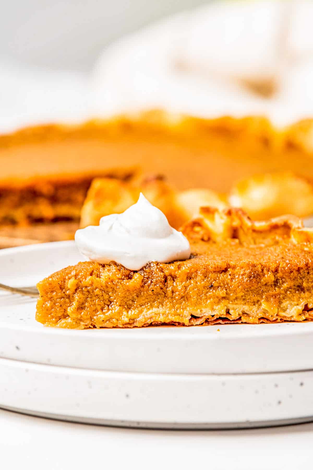 A slice of sweet potato pie on a white plate.