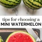 Tips for choosing a mini watermelon pin graphic.