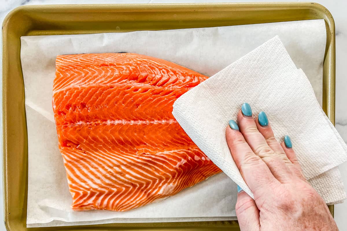 Patting king salmon dry with a paper towel.