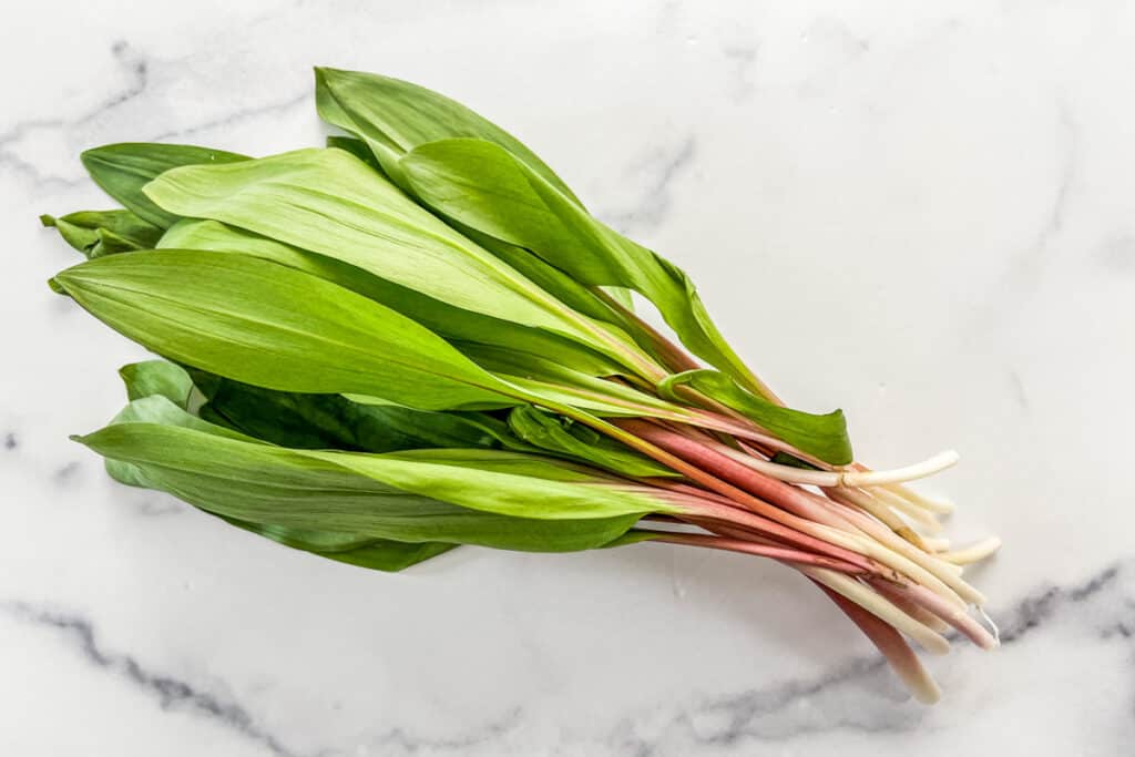 Springtime Ramp Pasta Recipe This Healthy Table