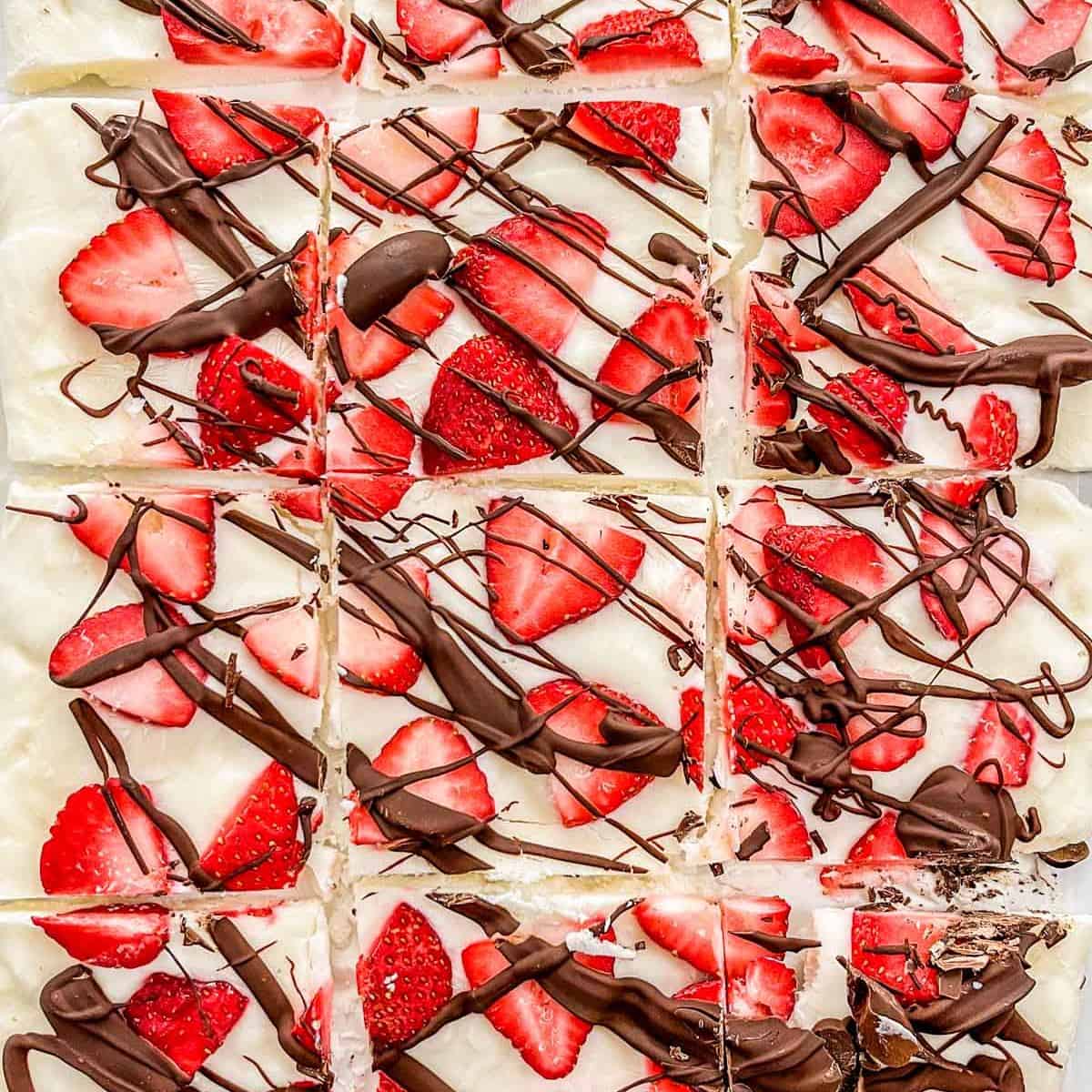 Strawberry chocolate frozen yogurt bark.