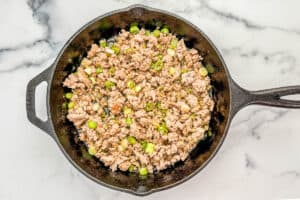 Ground pork, sauces, and sliced green onions in a cast iron skillet.