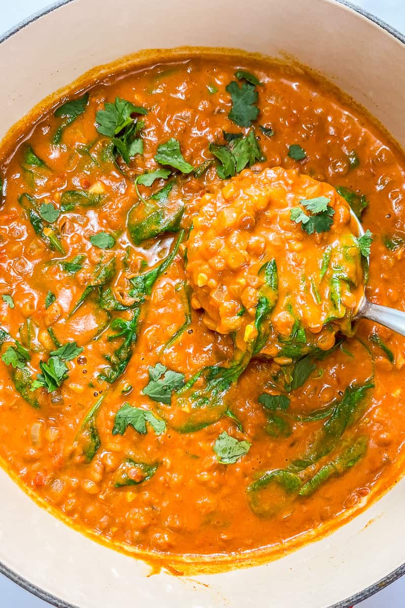 Lentil curry being scooped out of a pot with a ladle.