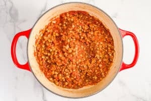 Lentils, crushed tomatoes, onion, garlic, and spices in a pot.