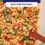 Mediterranean baked orzo pin graphic.