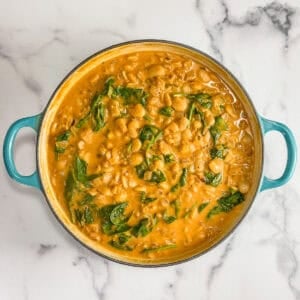 Creamy pumpkin butter beans in a teal handled pot.