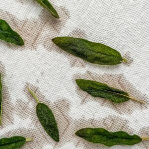 Fried sage leaves on a piece of paper towel.
