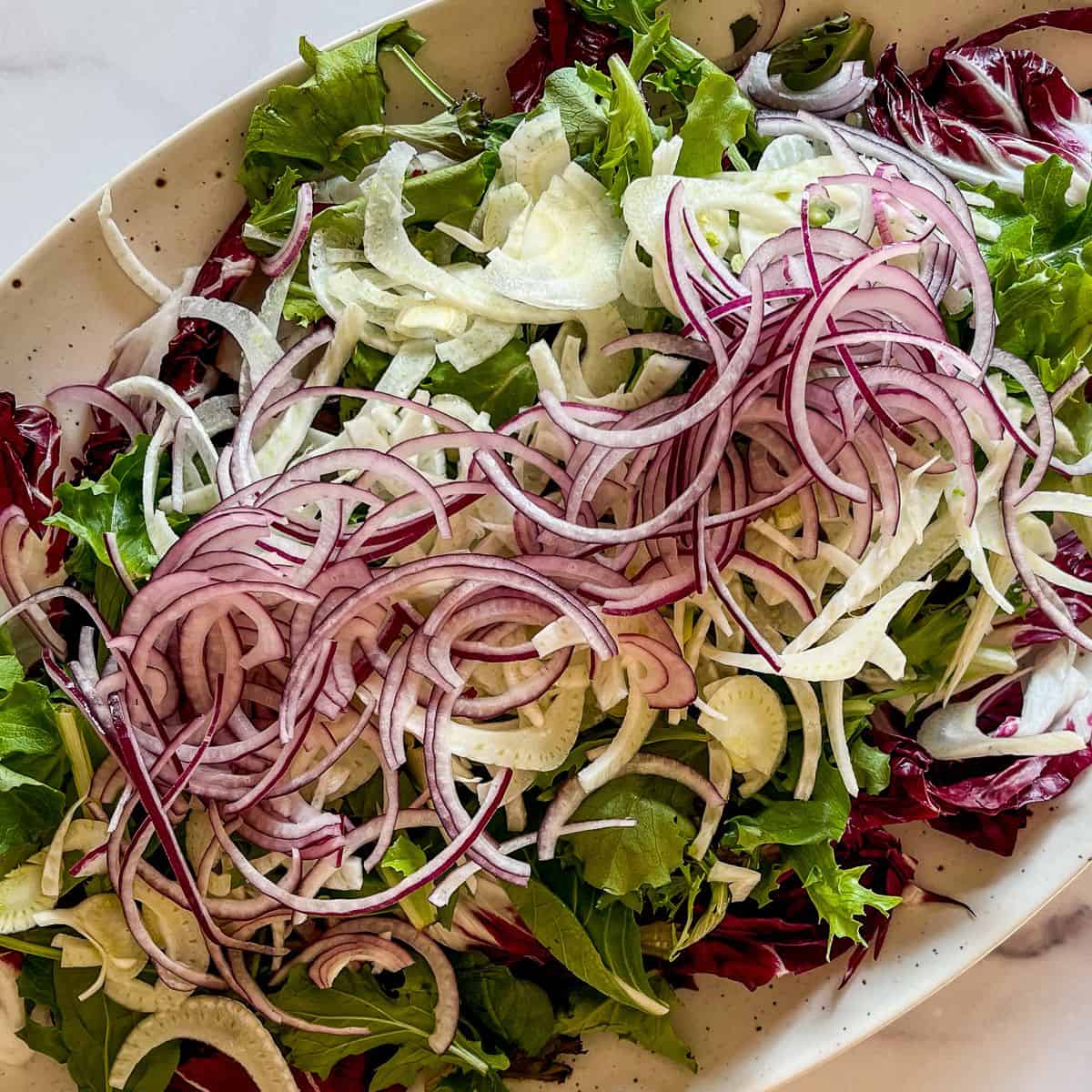 Shaved fennel and sliced red onion on greens.